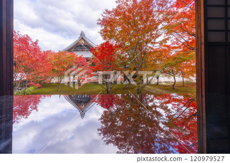 秋天的京都、妙覺寺（妙覺寺）、紅葉覆蓋的寶修園 120979527
