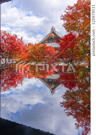 Autumn in Kyoto: Myokakuji Temple (Myokakuji) - Hosshi-en Garden surrounded by autumn leaves 120979531