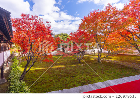 Autumn in Kyoto: Myokakuji Temple (Myokakuji) - Hosshi-en Garden surrounded by autumn leaves Autumn in Kyoto: Myokakuji Temple (Myokakuji) - Hosshi-en Garden surrounded by autumn leaves 120979535