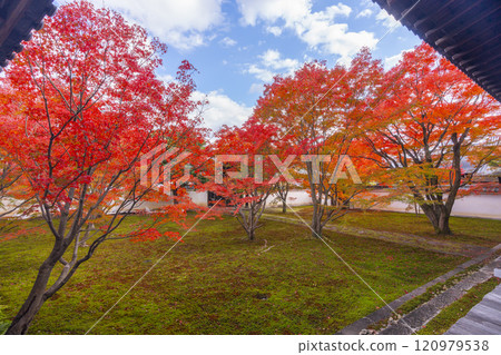 秋天的京都、妙覺寺(妙覺寺)、紅葉覆蓋的寶修園 秋天的京都、妙覺寺(妙覺寺)、紅葉覆蓋的寶修園 120979538
