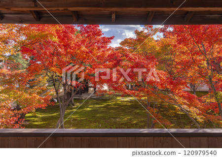 Autumn in Kyoto: Myokakuji Temple (Myokakuji) - Hosshi-en Garden surrounded by autumn leaves 120979540