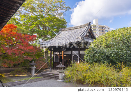 Autumn in Kyoto: Myokakuji Temple (Myokakuji) - Kahodo Hall surrounded by autumn leaves Autumn in Kyoto: Myokakuji Temple (Myokakuji) - Kahodo Hall surrounded by autumn leaves 120979543