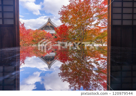 秋天的京都、妙覺寺(妙覺寺)、紅葉覆蓋的寶修園 秋天的京都、妙覺寺(妙覺寺)、紅葉覆蓋的寶修園 120979544