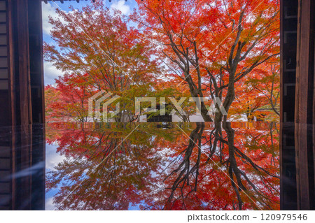 Autumn in Kyoto: Myokakuji Temple (Myokakuji) - Hosshi-en Garden surrounded by autumn leaves Autumn in Kyoto: Myokakuji Temple (Myokakuji) - Hosshi-en Garden surrounded by autumn leaves 120979546