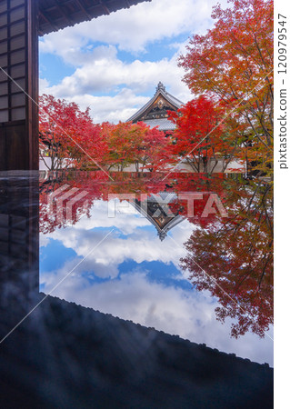 Autumn in Kyoto: Myokakuji Temple (Myokakuji) - Hosshi-en Garden surrounded by autumn leaves 120979547