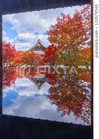 秋天的京都、妙覺寺(妙覺寺)、紅葉覆蓋的寶修園 秋天的京都、妙覺寺(妙覺寺)、紅葉覆蓋的寶修園 120979548