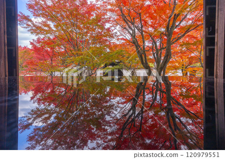 Autumn in Kyoto: Myokakuji Temple (Myokakuji) - Hosshi-en Garden surrounded by autumn leaves Autumn in Kyoto: Myokakuji Temple (Myokakuji) - Hosshi-en Garden surrounded by autumn leaves 120979551