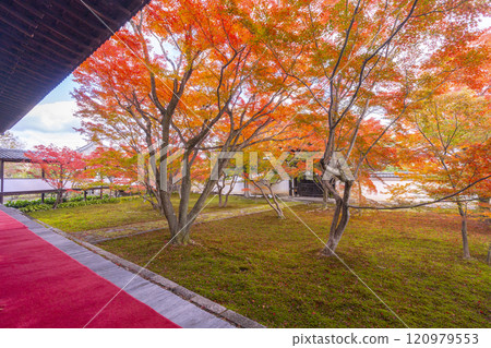 秋天的京都、妙覺寺（妙覺寺）、紅葉覆蓋的寶修園 120979553