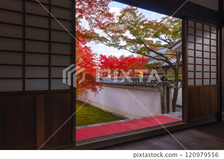 秋天的京都、妙覺寺(妙覺寺)、紅葉覆蓋的寶修園 秋天的京都、妙覺寺(妙覺寺)、紅葉覆蓋的寶修園 120979556