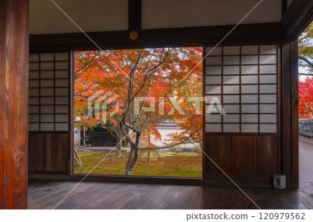 Autumn in Kyoto: Myokakuji Temple (Myokakuji) - Hosshi-en Garden surrounded by autumn leaves 120979562