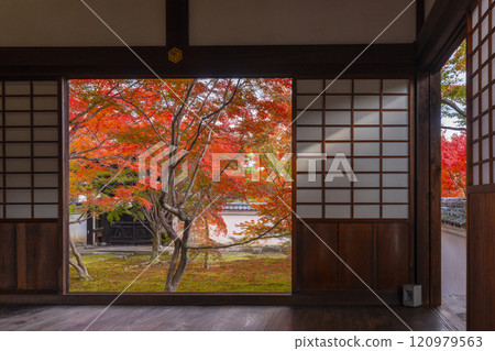 Autumn in Kyoto: Myokakuji Temple (Myokakuji) - Hosshi-en Garden surrounded by autumn leaves 120979563