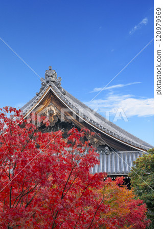 秋天的京都，妙覺寺（妙覺寺），被秋葉覆蓋的總志堂 120979569