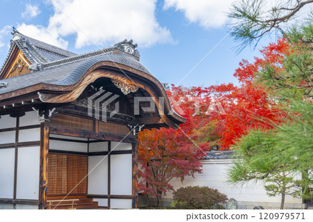 京都的秋天，妙覺寺（妙覺寺），鮮紅的楓葉和正門 120979571