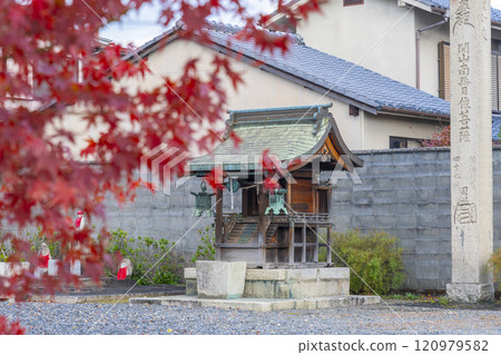 Autumn in Kyoto: Myokakuji Temple (Myokakuji) - A memorial tower for the statue of Nissho surrounded by autumn leaves Autumn in Kyoto: Myokakuji Temple (Myokakuji) - A memorial tower for the statue of Nissho surrounded by autumn leaves 120979582