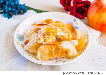 Apple pie style gyoza skin 120979612