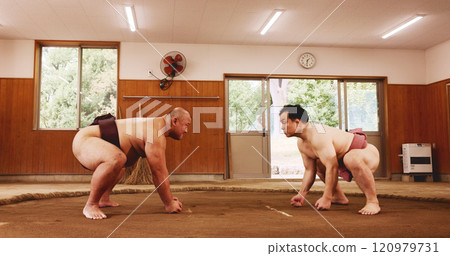 Japanese wrestlers, sumo and fight for sport, tradition or culture in dohyo ring. Asian men, wrestling or training to exercise, practice performance and martial arts for fitness or combat competition Japanese wrestlers, sumo and fight for sport, tradition or culture in dohyo ring. Asian men, wrestling or training to exercise, practice performance and martial arts for fitness or combat competition 120979731