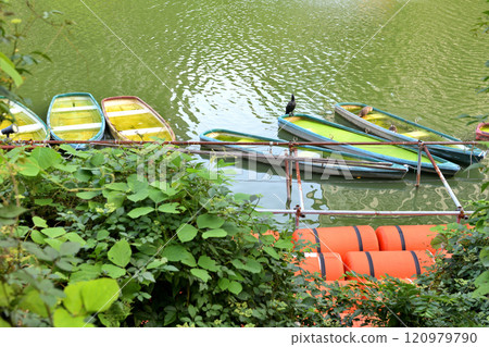 飯田橋護城河中漂浮的船隻和鸕鶿 飯田橋護城河中漂浮的船隻和鸕鶿 120979790