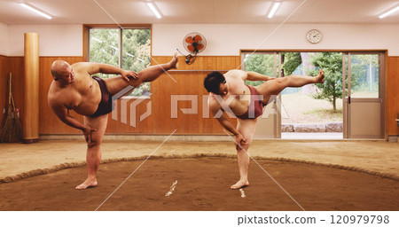 Japanese wrestlers, sumo and stretching for sport and shiko ritual in dohyo ring. Tradition, wrestling and men exercise for culture, martial arts or spiritual preparation with foot stomp for warm up 120979798