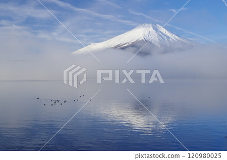 Fuji and morning mist in winter as seen from Lake Yamanaka Fuji and morning mist in winter as seen from Lake Yamanaka 120980025
