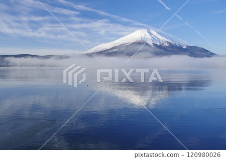Fuji and morning mist in winter as seen from Lake Yamanaka 120980026