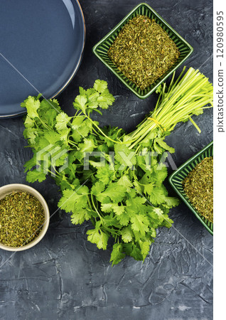 Fresh and dry coriander cilantro. Fresh and dry coriander cilantro. 120980595