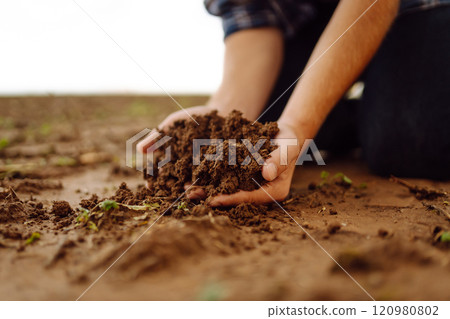 Soil is in the strong hands of a farmer on a black field. Agriculture or gardening concept. Soil is in the strong hands of a farmer on a black field. Agriculture or gardening concept. 120980802