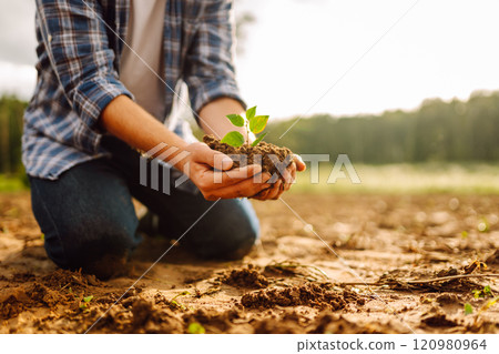 Man in a shirt holds a green plant in his hands. Caring for the environment. 120980964