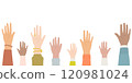 Hands of diverse people raising front side 120981024
