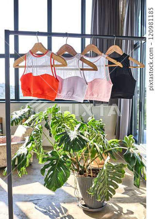 Stylish Sports Bras with Mesh Detail 120981185