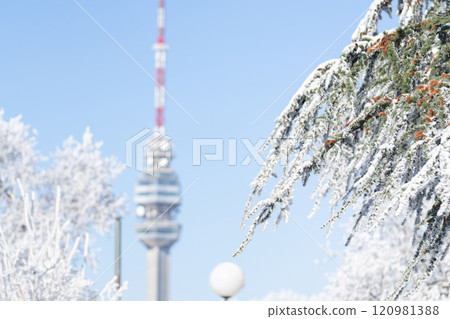 Telecommunication tower covered with frost in winter 120981388