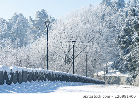 Park in the top of the mountain in winter 120981400