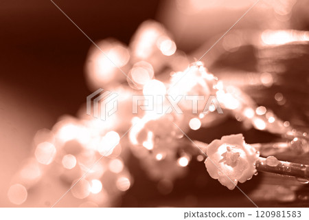 Color of the year, 2025, mocha mousse, floral background. Plant, natural background for branding and product presentation 120981583