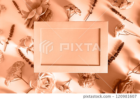 Color of the year, 2025, mocha mousse,Floral frame of pink flowers on white or pink background. Daisy roses heads frame design. Empty space. Template for a romantic greeting card. Color of the year, 2025, mocha mousse,Floral frame of pink flowers on white or pink background. Daisy roses heads frame design. Empty space. Template for a romantic greeting card. 120981607
