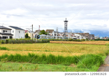 JR相模線沿線的稻田田園風光 120981628