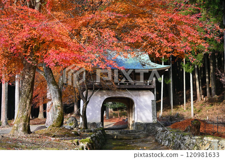 大原之裡 京城市高知屋阿彌陀寺三門 120981633