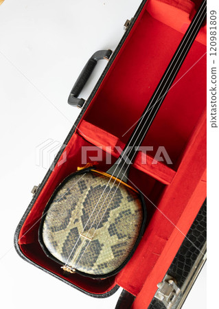 Sanshin in a case Sanshin in a case 120981809