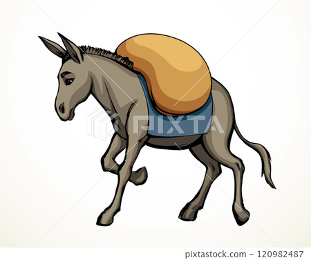 Vector drawing. Cute old mule 120982487