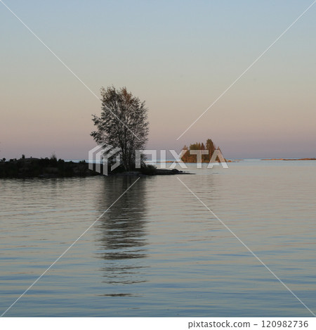 Tree growing on a small island in Lake Vanern, Mellerud, Sweden. 120982736