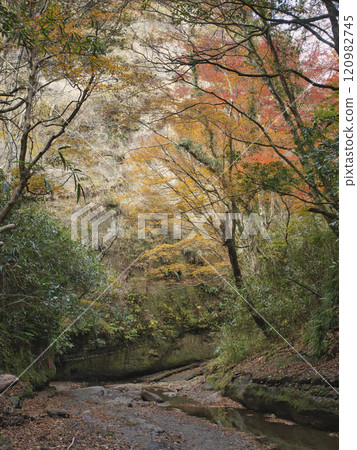 Late autumn in Umegase Valley 120982745