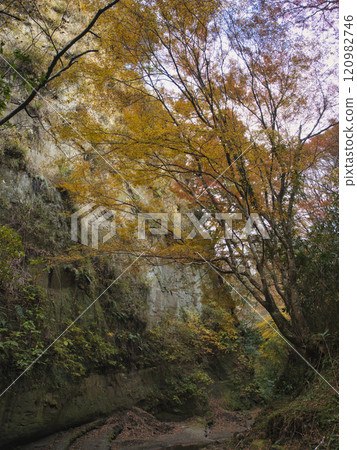 Late autumn in Umegase Valley 120982746