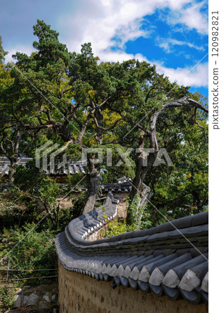 Traditional Korean Folk Village 120982821