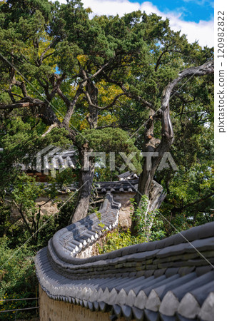 Traditional Korean Folk Village 120982822