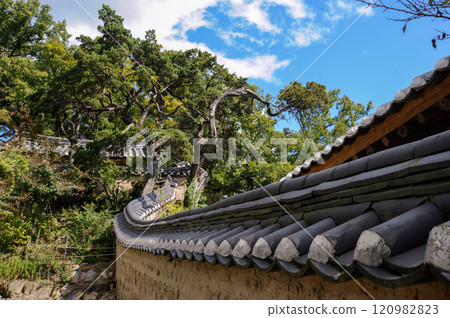Traditional Korean Folk Village 120982823