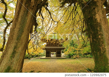 Kotokuji Temple, Akiruno City, Tokyo 120982875