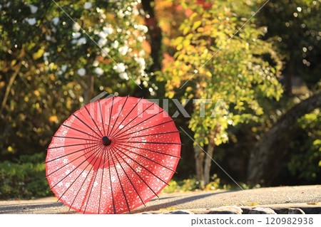 東京秋留野市立壽寺 東京秋留野市立壽寺 120982938
