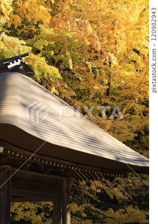 東京秋留野市立壽寺 東京秋留野市立壽寺 120982943