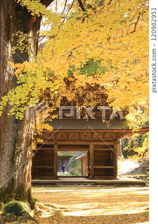 東京秋留野市立壽寺 120982951