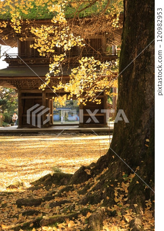 東京秋留野市立壽寺 120982953