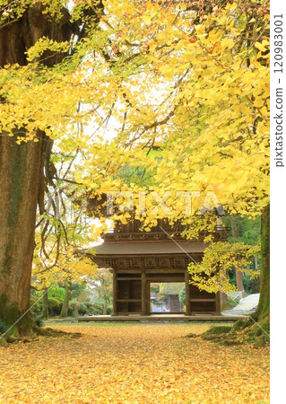 Kotokuji Temple, Akiruno City, Tokyo Kotokuji Temple, Akiruno City, Tokyo 120983001