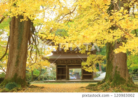 Kotokuji Temple, Akiruno City, Tokyo Kotokuji Temple, Akiruno City, Tokyo 120983002